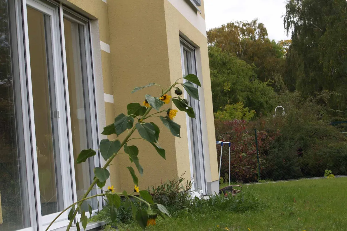 demenz-wg, bild