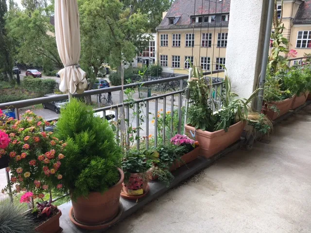 demenz-wg, bild
