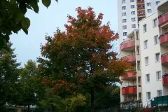 demenz-wg, bild